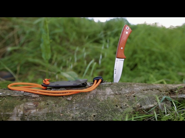 سكين اسباني من شركة مويلا موديل PECCARY-8.O