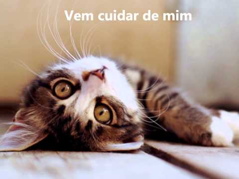 Vagalumes cegos - Cícero