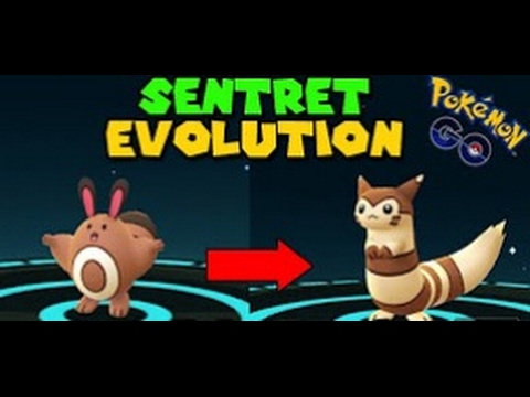 1st EVOLUTION OF GEN 2! [Evolving Sentret into Furret] - Pokemon Go
