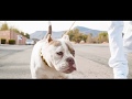 CJ SO COOL Get A Bag Ft Jinx Da Rebel