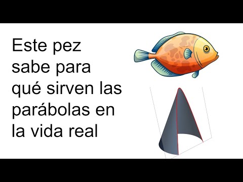 PARA QUÉ SIRVEN LAS PARÁBOLAS EN LA VIDA REAL. LOS PECES LO SABEN. Matemáticas Básicas