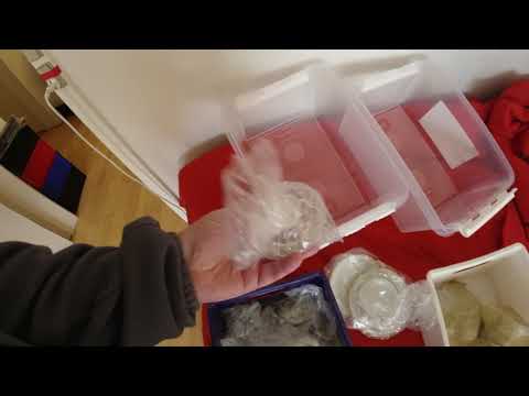 MongoTV_6236 - Kigger På Flyttekasser i Forstue Stået 7 År - Del 177 - Fylder 2 Opbevaringsboxe