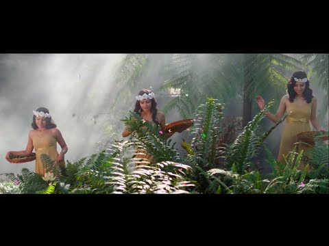 THERE IS A PLACE  - Leo Rojas