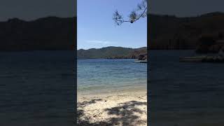 #Aşkın duvarları#noname#2018#summer#marmaris#eageansea#medusa#zaman