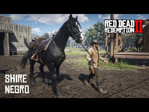 Earning the ONLY BLACK SHIRE in the game - Red Dead Redemption 2