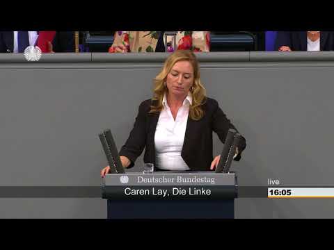 Caren Lay nimmt die AfD-Männer auseinander, die angeblich Frauenrechte verteidigen