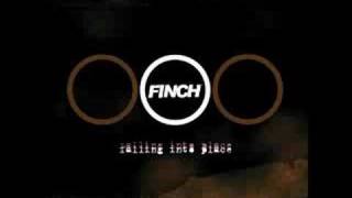 Finch - New Kid