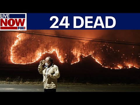 Video | South Korea wildfires: 24 people killed | LiveNOW from FOX