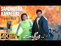 Sandhosha Kanneere 4K Video Song சந்தோஷ கண்ணீரே Uyire Shah Rukh Khan Manis