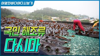 오동통면에 다시마가 2장 들어가는 건 아시쥬?? 그 다시마가 어디서 났을까요? 바로 청정 바다 완도입니다