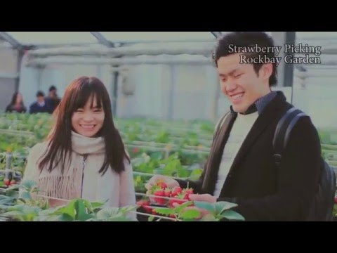 草津見どころガイド　食＆体験編　英語