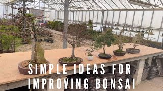 Simple Ideas For Improving Bonsai