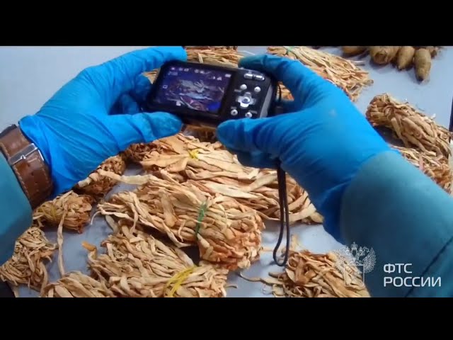 Накормить не получилось!