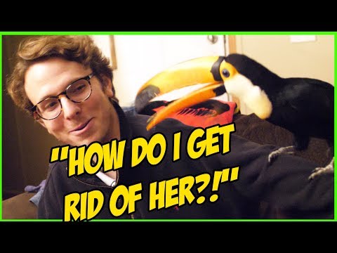 My Toucan Likes to Terrorize My Friends PART 3: THE FINAL CHAPTER!!!