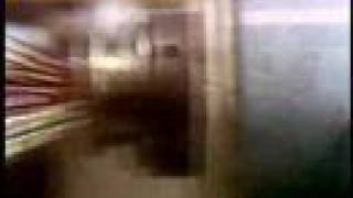 VJ Bolverk Biosphere "Cygnus-A" SONDA