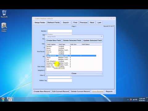Custom Database Software