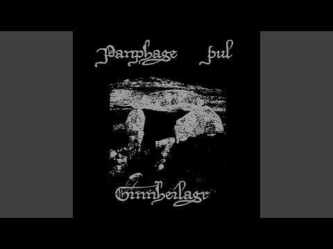 Släkten solen ser i åkrar sjunka ned