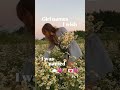 Girl names I wished I was named Pt. 1💞 #names #aesthetic #pinterest #shorts #recommended #tiktok