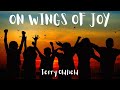 On Wings Of Joy ... Terry Oldfield