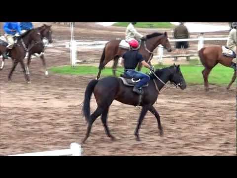 2013-01-04 TGRS-II April Rock trackwork