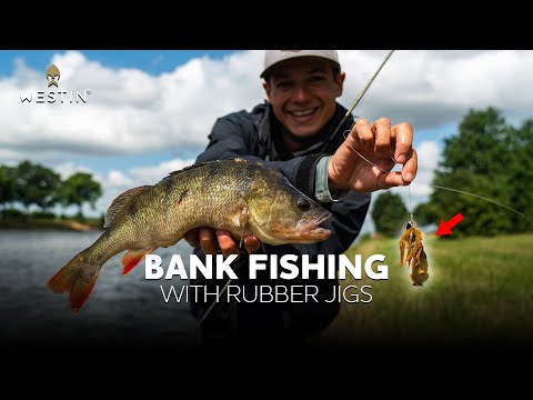 How to Fish Rubber Jigs on Canals for Perch & Zander  | Westin Fishing