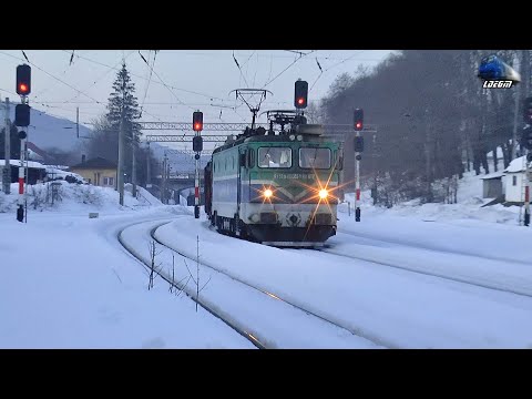 LE5100 40-0355-0 & 40-0772-6 & Tren cu Cărbune UTZ Coal Train in Gara Predeal Station 27 March 2021