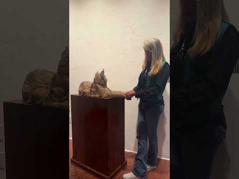 video-Star Liana York - Missing Lynx - PLEASE CALL FOR AVAILABILITY AND PRICING