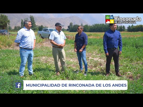 Municipalidad de Rinconada presentará observaciones a Plan Regulador