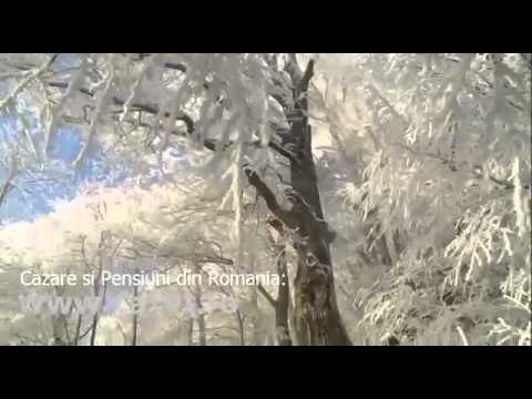 Cazare Valea Sanpetrului, Mures - Cazat.ro