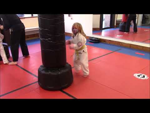 A Typical night of Training at Nokado Dojo