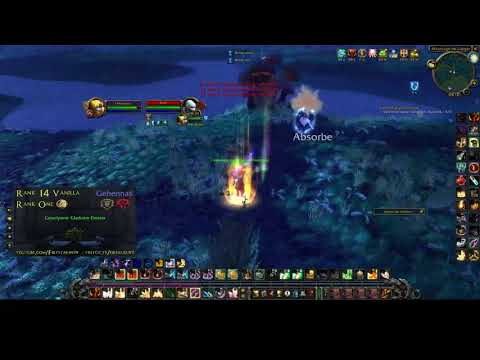 TBC Classic paladin  ret vs mage