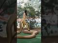 Nagin 6 Pratha Subscribe Trending Like Love Nagin Famous Snake Video Viral