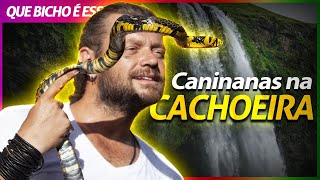 Miniatura do vídeo