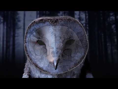 Sentidos Extraordinarios - Nuevos Episodios