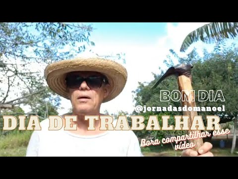 Dia de trabalho - parte 1