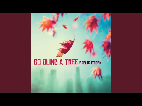 Monday Morning Girl - Gaelic Storm