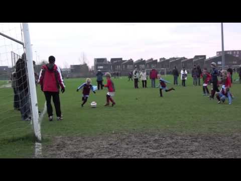 Overbos F11 - DSS F15