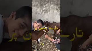 Orphan Child Playing Happily With Friends | Emotional & Heartwarming Moments