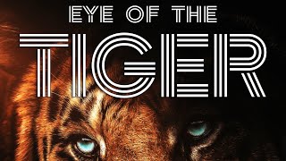 Eye Of The Tiger - Jenn Grant&#39;s version (Cover by Eduardo Gregori)