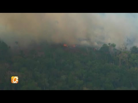 Celebrities posten massaal over bosbranden in Brazilië  - RTL BOULEVARD