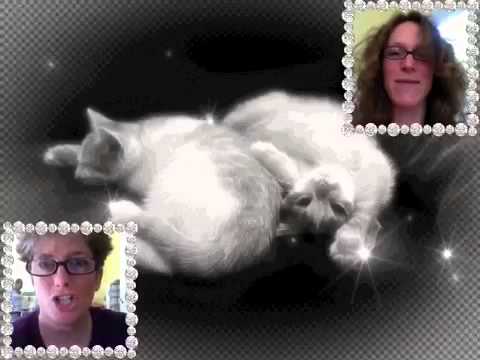 Happy birthday, Cherie!