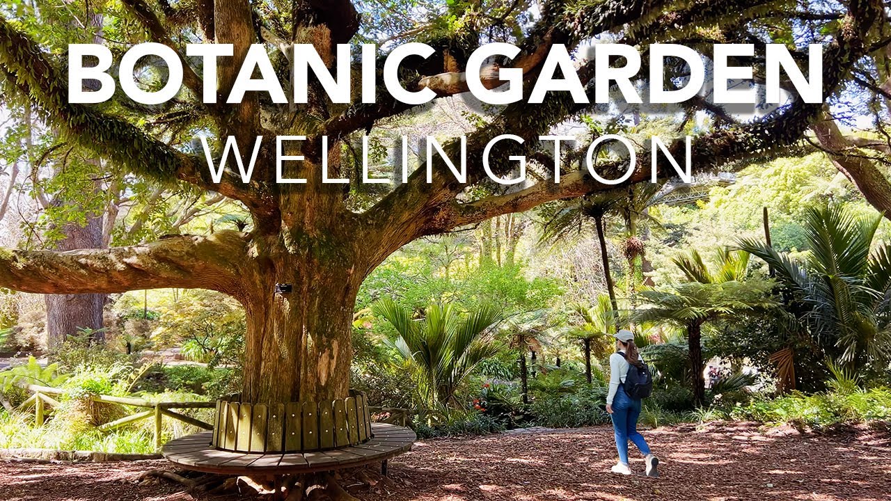 Dive into a mesmerizing walking tour of Wellington Botanic Garden.