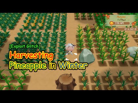 [Exploit Glitch] Harvesting Pineapple in Winter | STory of Seasons Friends of Mineral Town