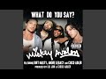 What Do You Say? (Explicit)