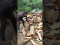 Watchthis Incredible Wood Splitting Action In The Scenic Outdoors Shorts OutdoorSkills