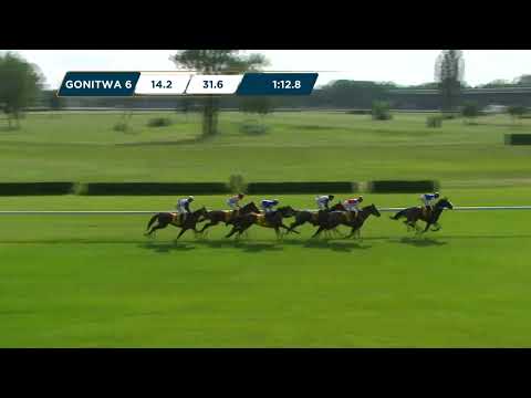 Nagroda Soliny (Specjalna) - (KAT.B) 10.06.2023 - (Dzień 12; Gonitwa 6)