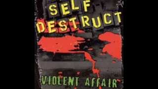 Self Destruct - Vicious Cycle