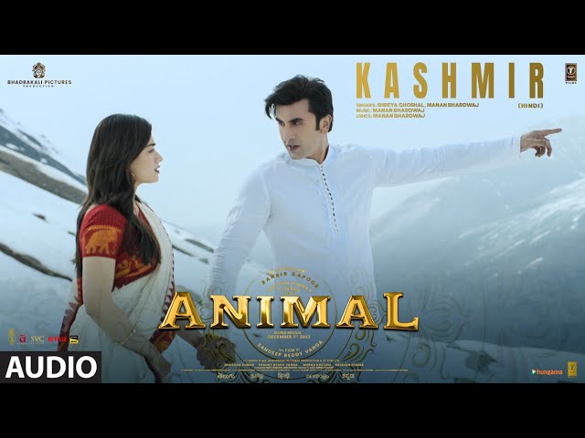 Kashmir Lyrics English Translation – Animal | Shreya Ghoshal