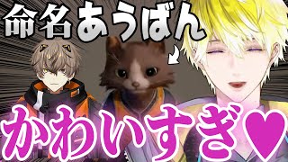 同期そっくりにキャラクリして"あうばん"と名づけ、かわいがるサニー・ブリスコー【 にじさんじEN/サニー・ブリスコー/アルバーン・ノックス/にじさんじ切り抜き/日本語字幕】