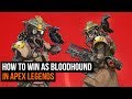 How To Win As Bloodhound In Apex Legends